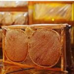 zara karakovan balı 2026