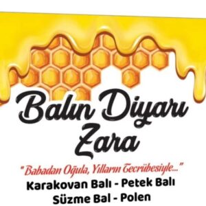 Orhan Kurt ve Arıları